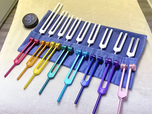 Chiropractic Toms River NJ Biofield Tools Chiropractic Toms River NJ Biofield Tools