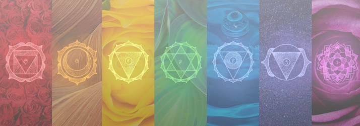 Chiropractic Toms River NJ Holistic Healing Reiki Chiropractic Toms River NJ Holistic Healing Reiki